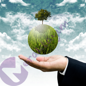 Tüketiciler, çevre dostu ürünler için gerçekten daha fazla ödeme yapmaya istekli mi?